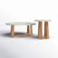 Baudelaire 2 - Piece Marble Top Living Room Table Set