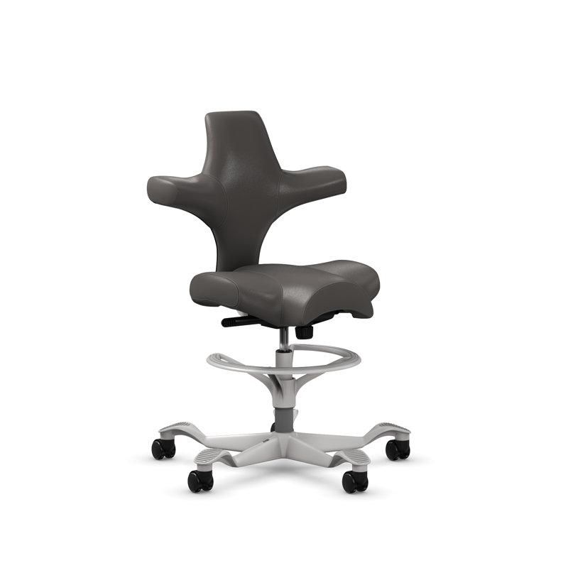  Fauteuil assis-debout avec repose-pieds HœG Capisco, Argent argent, Bois de frêne gris