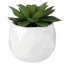 Plante succulente artificielle en pot 4 pièces