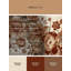 Tapis oriental décoratif brun et beige lavable à la machine Pauleth-142342014