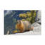 No Frame Print on Canvas