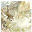 Muted Tropics II Painting by Sara Brown-26773590-26773589