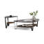 Dino Coffee Table-1304914239-1314761197