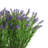 Neve Outdoor UV Rated Lavender in Fiberstone Planter