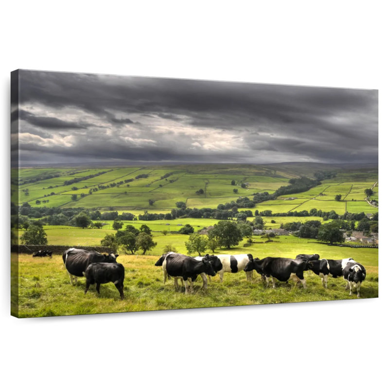 Brampt Simple Cow Herd, 34" H x 51" W