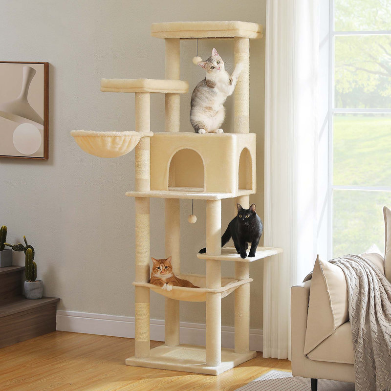 Grand arbre à chat pour les grands chats, Beige