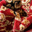 Tapis rouge Cobbins Medallion Kashan-20238867