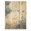 «Mums White and Blue Elegance I - Mums», art sur bois de pin naturel-819197832