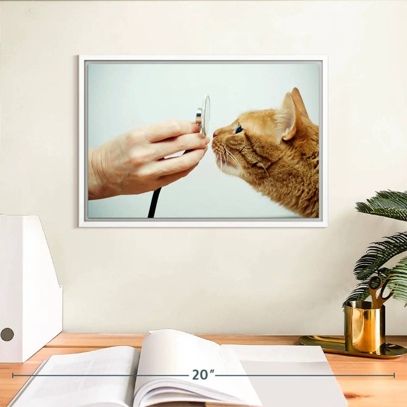 Chat Vet, Cadre flottant blanc, 13 po x 9 po