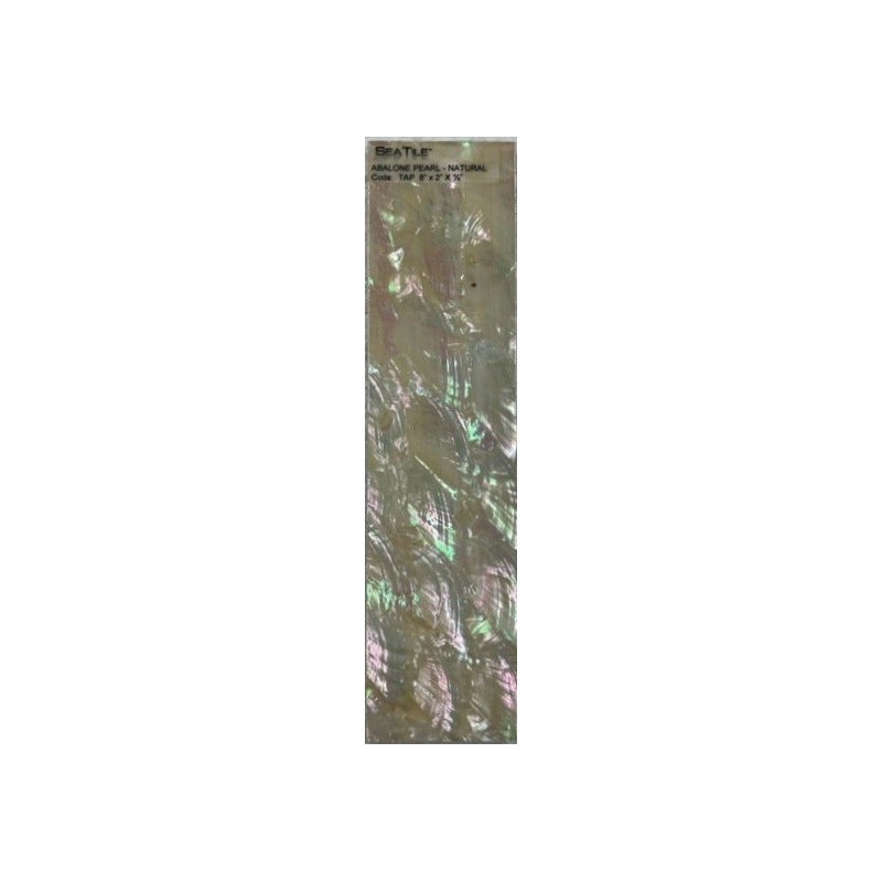2" x 8" Authentic SeaShell Listello/Border Tile in Abalone Pearl