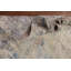 Tapis indien en laine Modern Modern