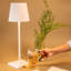 Poldina Pro L Desk Lamp-1489520483