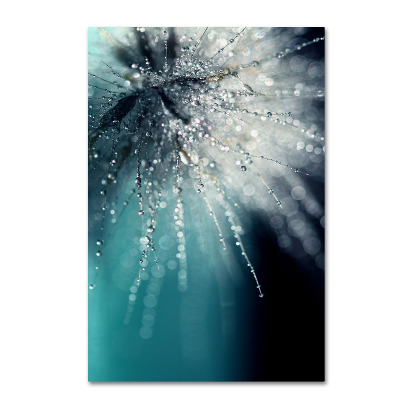 " Morning Sonata " by Beata Czyzowska Young, 47" H x 30" W x 2" D