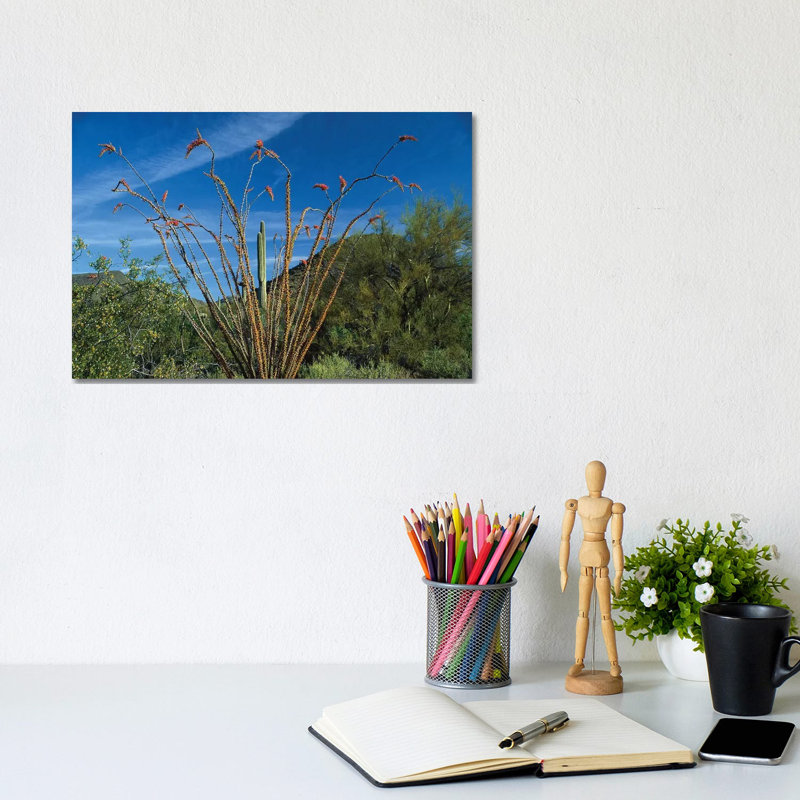 Ocotillo Saguaro And Palo Verde Greasewood by Tim Fitzharris - Wrapped Canvas Gallery-Wrapped Canvas Giclée