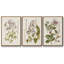 Ensemble d'arbres à fleurs rétro II, encadré sur toile, 3 pièces-97946192-97946199