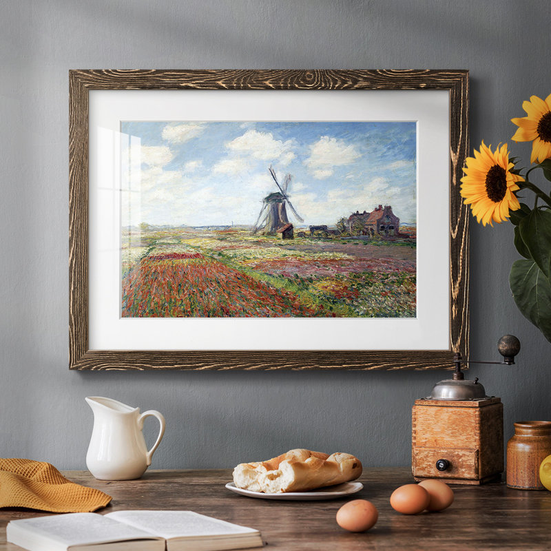 Tulipes des Pays-Bas, Noyer