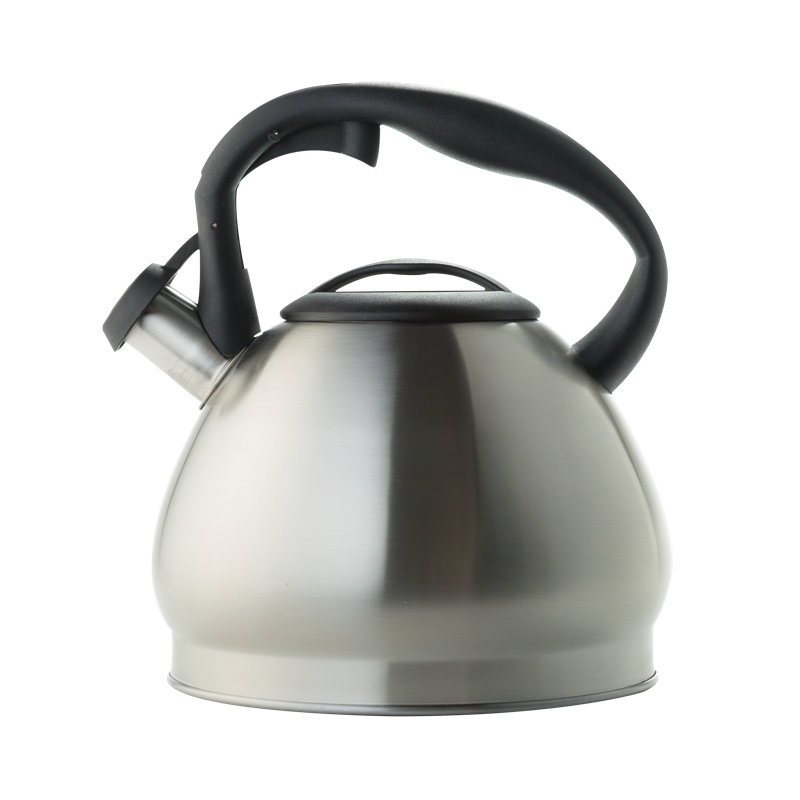Latitude Run® 3oz. Stainless Steel Teapot