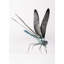 Awesome Insects Dragonfly Figurine