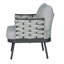 Ensemble de 2 fauteuils club en acier, gris