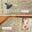Tapis Glenmore-1860305579