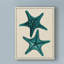 «Coastal Starfish II» par Vision Studio, impression sur toile-33424664