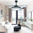 Kashyia 42'' Ceiling Fan with LED Lights