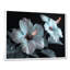 Hibiscus blanc et rose transparent - art mural hibiscus-1207215273-1207215272