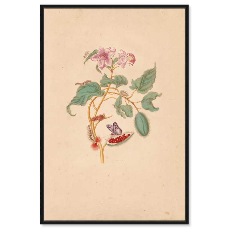Art Remedy Botanical Prints Canvas, Rocu Tree, Cadre flottant noir, H 16 po x l 11 po