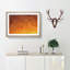 Birds in Flight During an Orange Sunrise - Picture Frame Painting Print on MDF-56632739-56632740