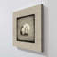"Fancy Shell II" par Rhonda Addison, reproduction sur toile-163854996
