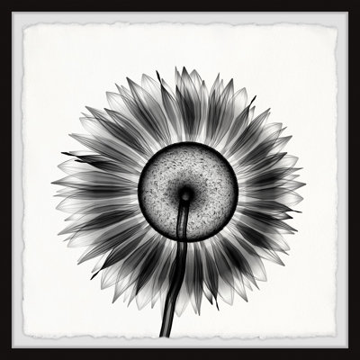 Sunflower Petals - Single Picture Frame Painting