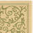Galena Performance Floral Indoor/Outdoor Area Rug-28910515