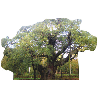 Abri en bois Major Oak