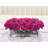 Hydrangea Arrangement in Vase-107098804