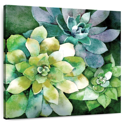 Harnek Summer Succulents