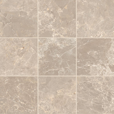 Carreau de porcelaine 12X12 Ravenna