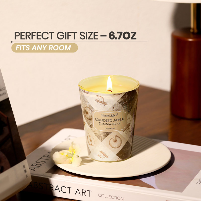 Cannelle confite | Homelights 1-Wick - 6,7 oz de cire de soja - 40 heures et plus de bougies parfumées