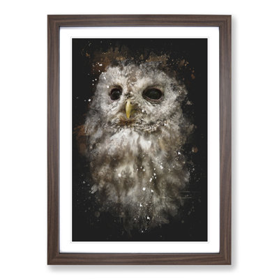 Tawny Owl Vol.1 - Picture Frame Painting