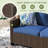 Thavy 49.6" Wicker Outdoor Loveseat with Cushions-1983631375