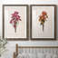 " Sketchbook Chrysanthemum " 2 - Pieces-286667848-286667830-286667825