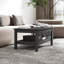 Kanthiah Solid Wood Four Leg Coffee Table with Storage-225825198-225825197