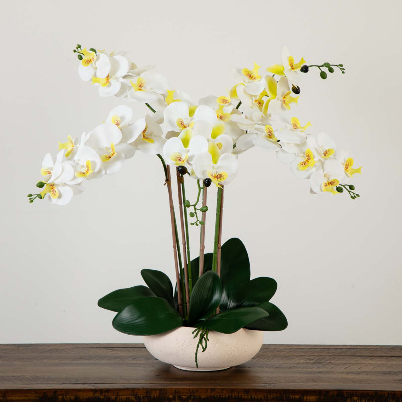 23 po Arrangement artificiel orchidée phalaenopsis en pot de céramique blanche (Real Touch)