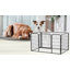 Enclos pour animaux Jake