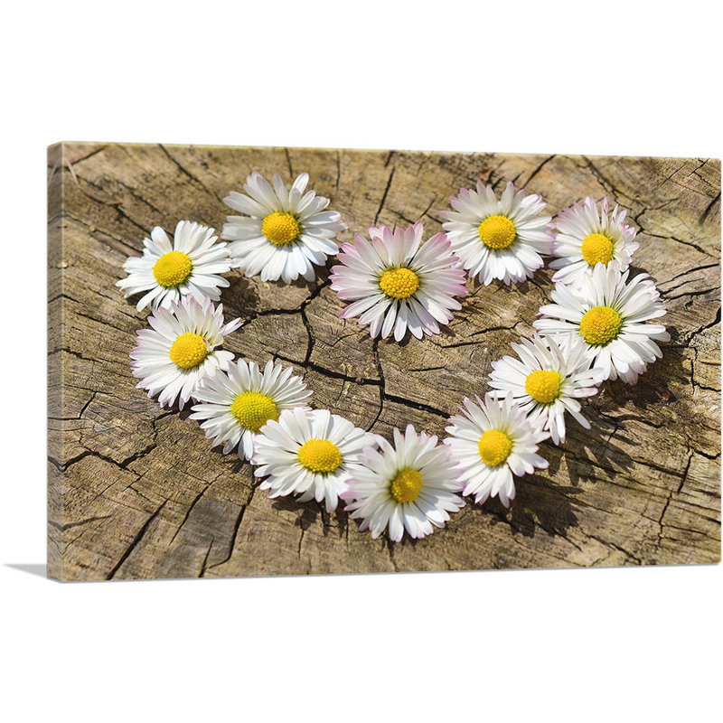 «Daisy Heart Flower Home Decor», reproduction de photo sur toile tendue, H 26 po x l 40 po x P 0,75 po