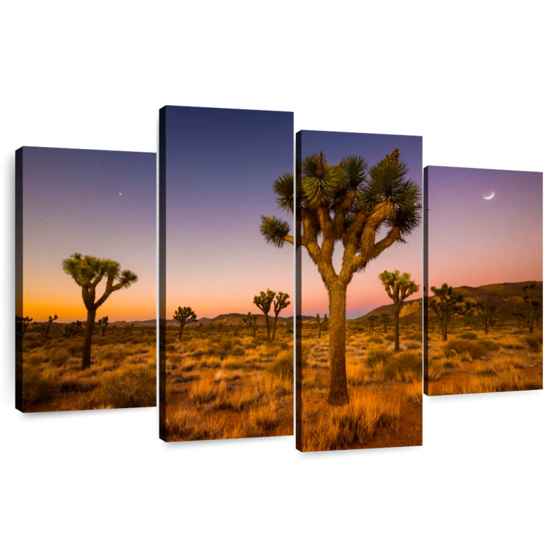 Nicci Joshua Tree Valley au coucher du soleil, H 22 po x l 36 po