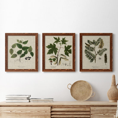 Linen and Leaves I - Ensemble de 3 peintures sur toile encadrées