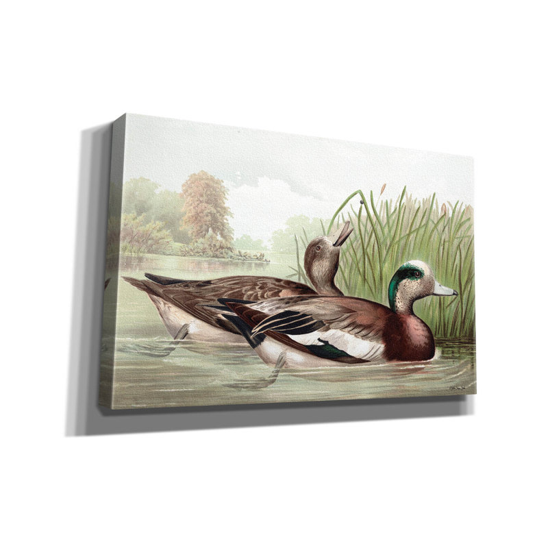 «Resting Duck 1» par Stellar Design Studio, art mural sur toile, 40 po x 26 po