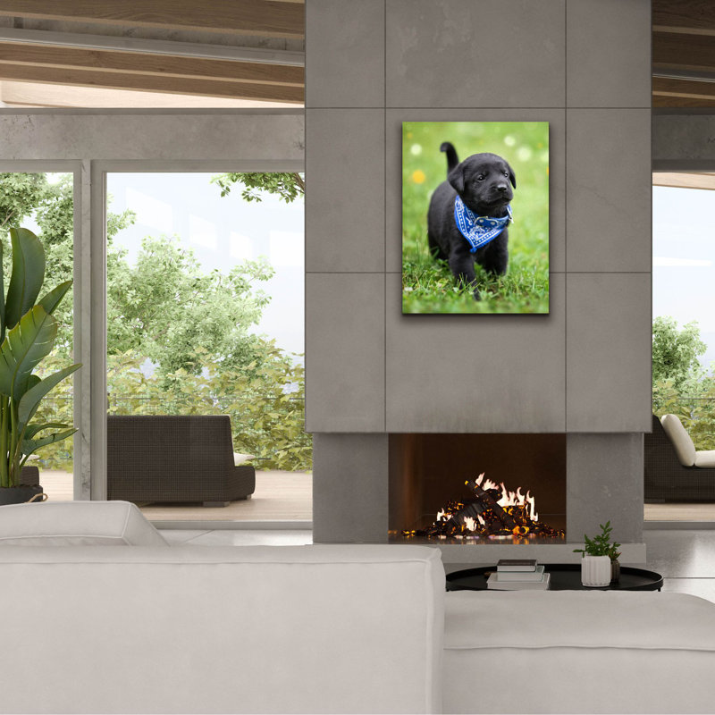 «Black Lab Pup 1» par Jonathan Ross, art mural sur toile, H 34 po x l 26 po x P 1,5 po