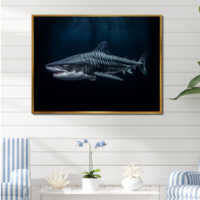 " Tiger Shark Territory II "