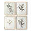 «Vintage Floral Print CLXIV», 4 pièces